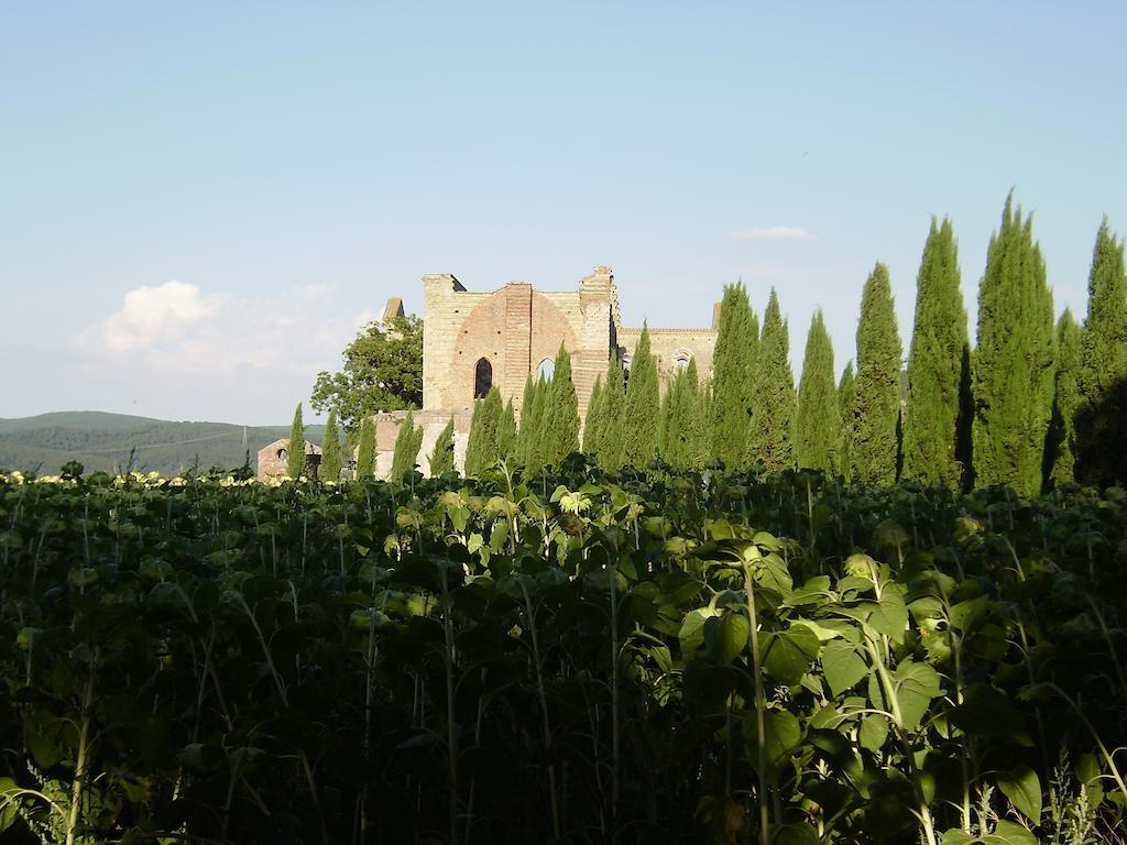 La Fattoria Montalcinello *